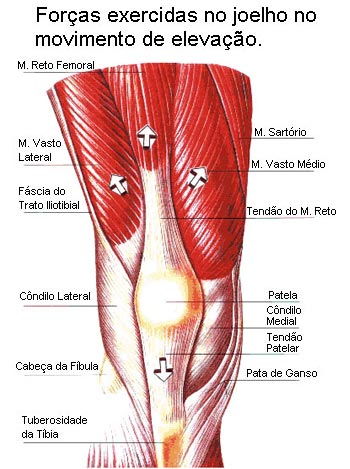 Condromalacia femuro-patelara (artroza femuro-patelara)